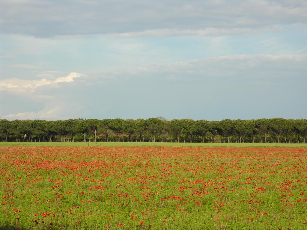 Appartamento Riviera Bibione Extérieur photo